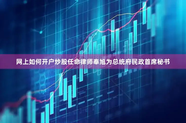 网上如何开户炒股任命律师奉旭为总统府民政首席秘书