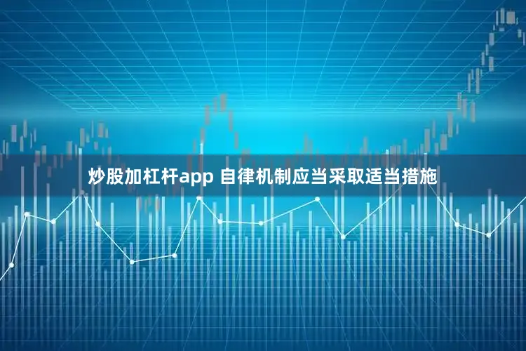 炒股加杠杆app 自律机制应当采取适当措施