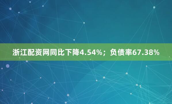 浙江配资网同比下降4.54%；负债率67.38%