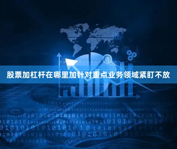 股票加杠杆在哪里加针对重点业务领域紧盯不放