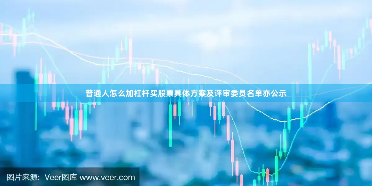普通人怎么加杠杆买股票具体方案及评审委员名单亦公示